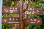 CRW_40784