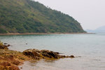 CRW_40805