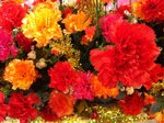IMG_0462