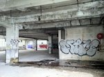 IMG_0890
