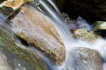 _MG_0335