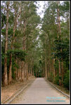 CRW_40040_2