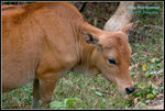 CRW_40044_2