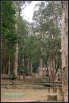 CRW_40058_2