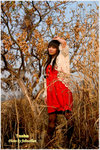 CRW_40656_2