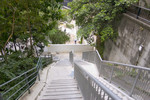 CRW_6590