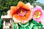 IMG_9720