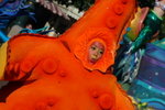 IMG_9724