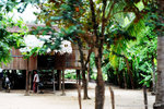 when we were on the tuktuk driving along, lots of these huts on the way to Banteay Srey
it was a long drive