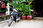 the moto we rented