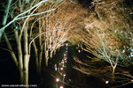 here we are, at the Ueda castle, night sakura 上田城夜櫻