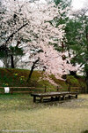a lonely bench