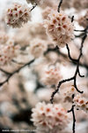 an out of focused close up