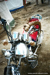 though it's cruel but this skull looked cool.  ghost rider bike?