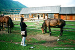 Zola was thinking, that horse was so poor that its legs got tied up.