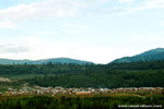 a bunch of houses.