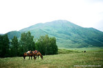 even the horses were resting.