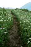shall I walk over there?  seems to be a better spot.