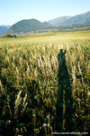 from the length of my shadow, you can imagine how early it was.