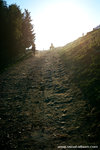 I had to walked up this... and it was so dusty after all those horses and cows.