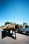 donkey taxi with cargo.