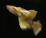 img_0601_168