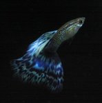 img_7207_444