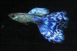 img_7208_783