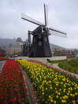 P1000260