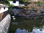 R0012677