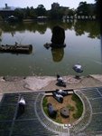 R0010630