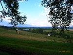 RIMG0145