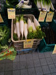 RIMG0060