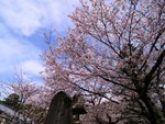 R0012444