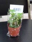 DSC01920