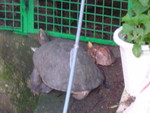 DSC02333