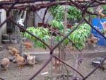 DSC02335