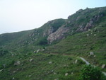 DSC02347