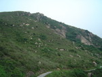 DSC02360