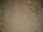 DSC02369