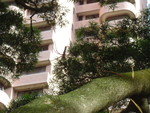 DSC02521
