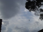 DSC02531