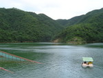 DSC02535