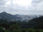 DSC02541