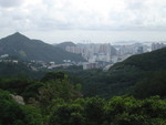 DSC02542