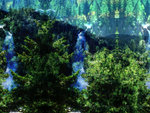 Scene 03