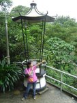 DSC03281