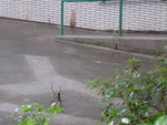 DSC03306