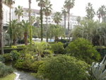 DSC06753