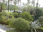 DSC06755